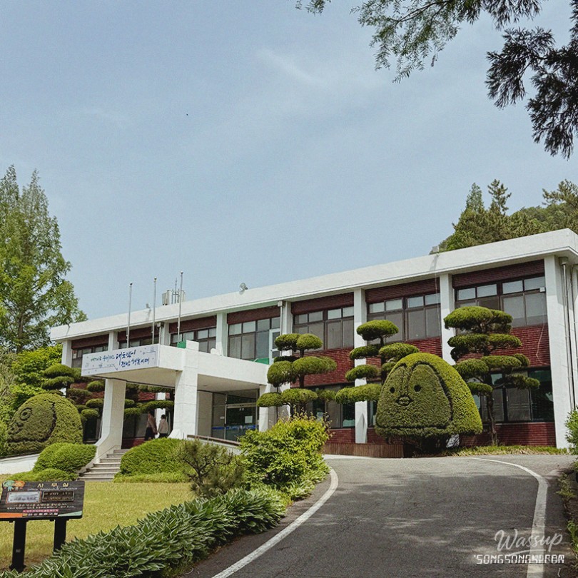 평화로운 풍경