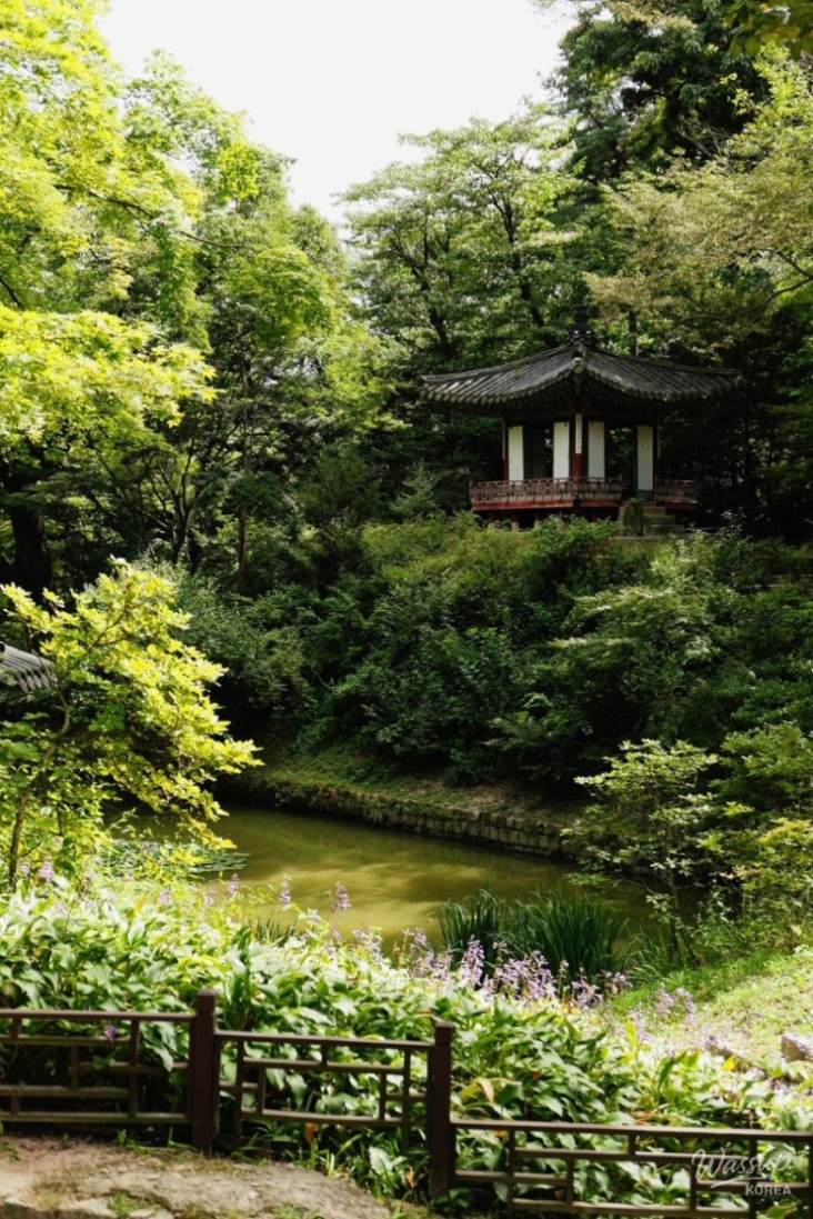 Peaceful Scenery
