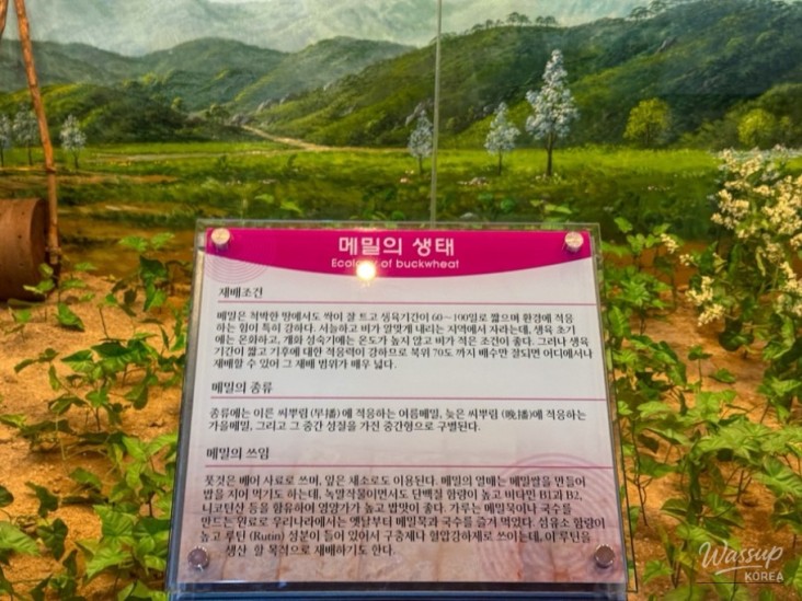 매력적인 사진