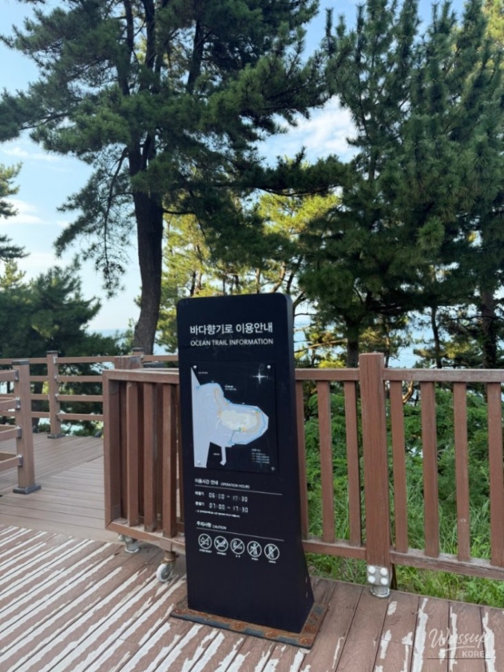 희망찬 내일