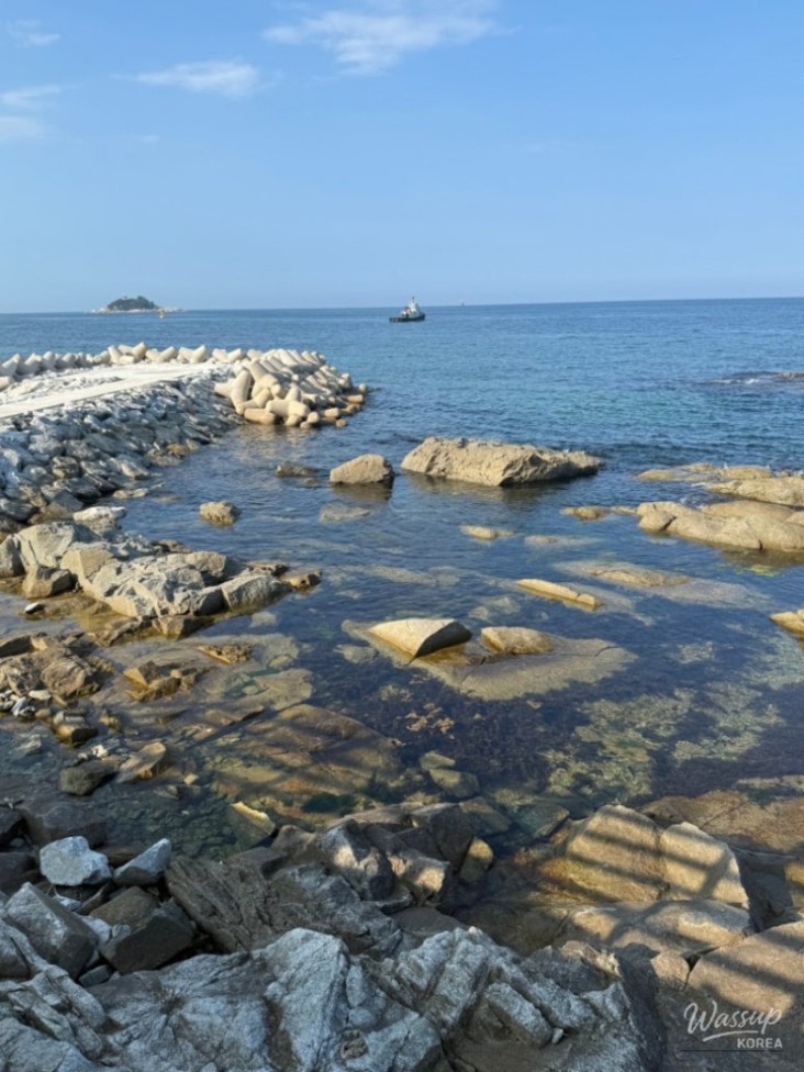 놀라운 광경