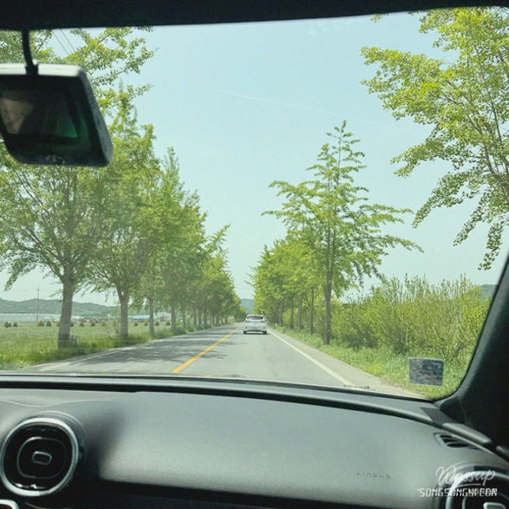 멋진 사진