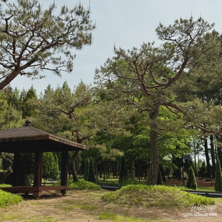 평화로운 풍경