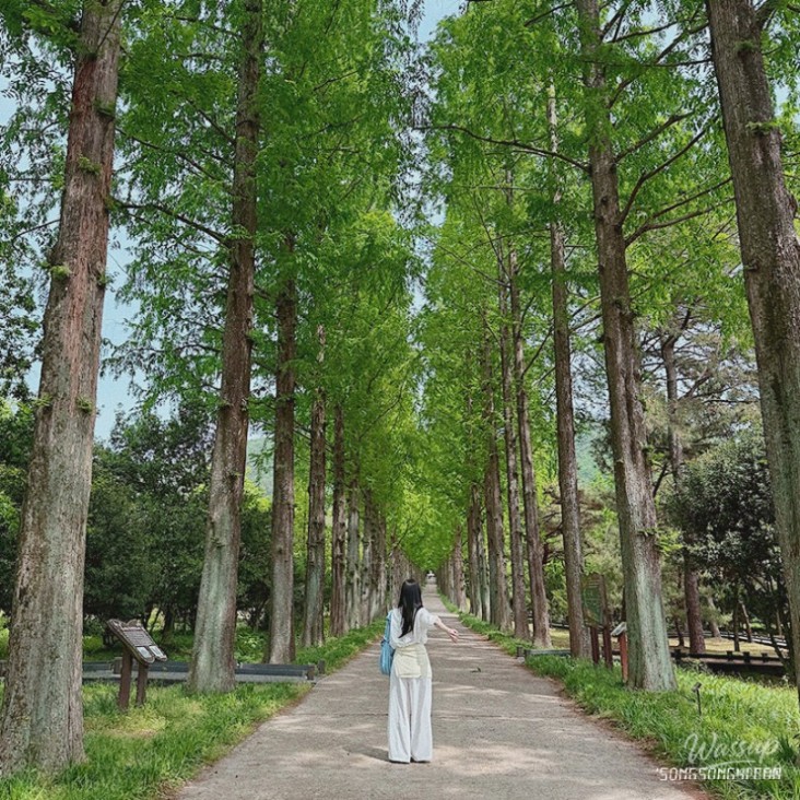 놀라운 광경