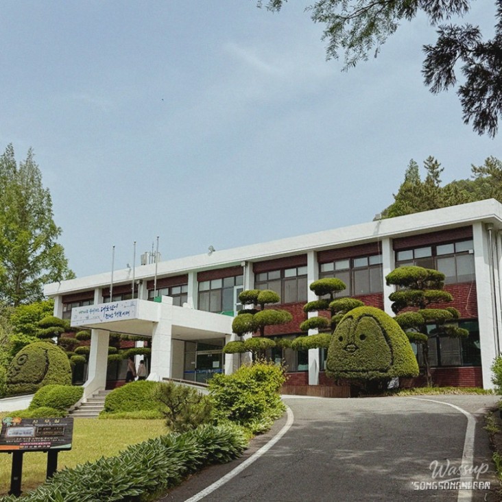평화로운 풍경