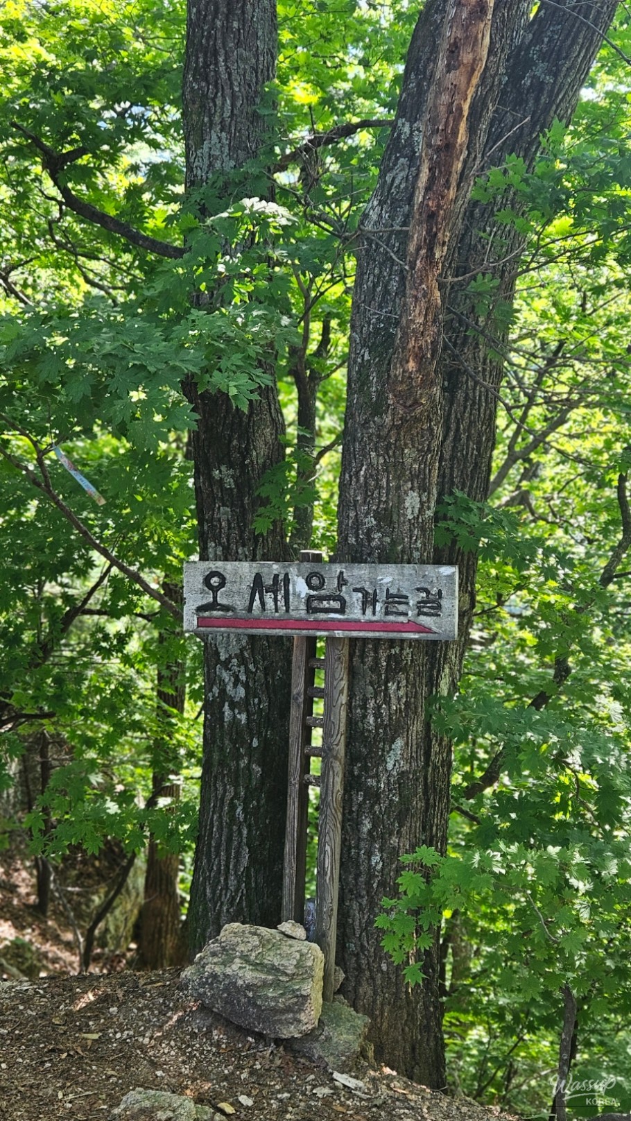 A wild squirrel eating food along the mountain path