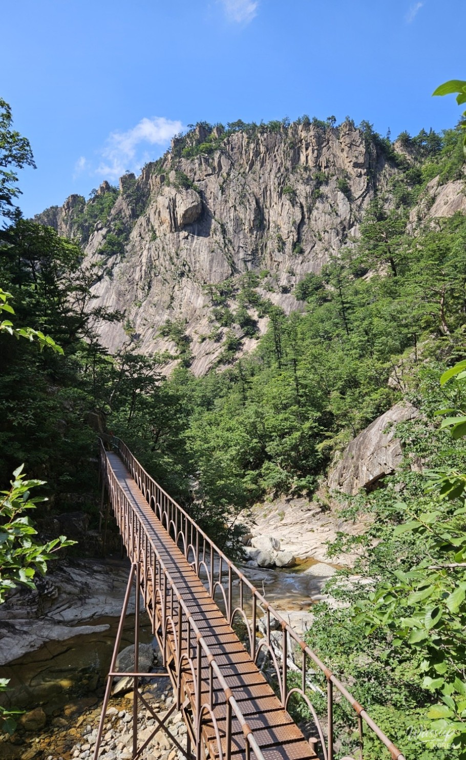 The beautiful shaded forest surrounding Suryeomdong Valley