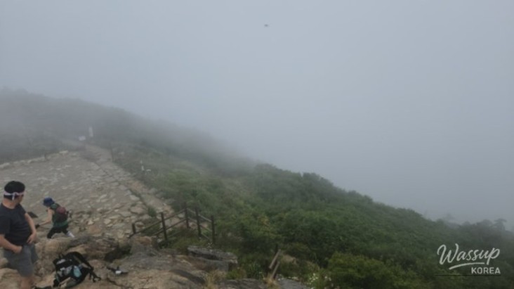Mysterious Scene