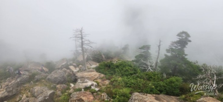 Mysterious Scene