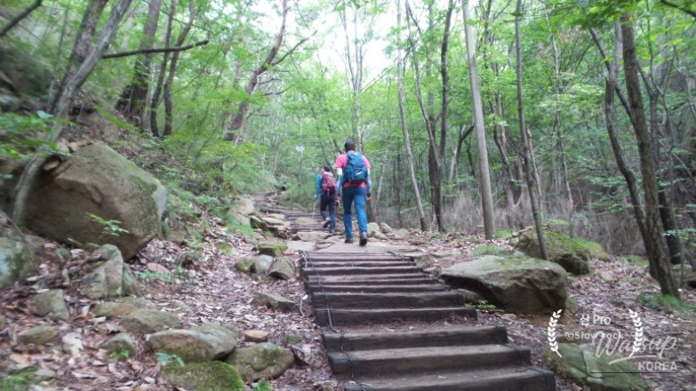 인상 깊은 모습