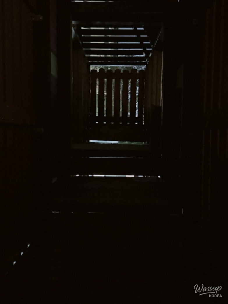 평화로운 풍경