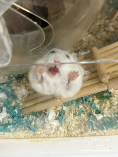 흥미로운 이미지
