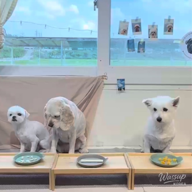 화려한 장면