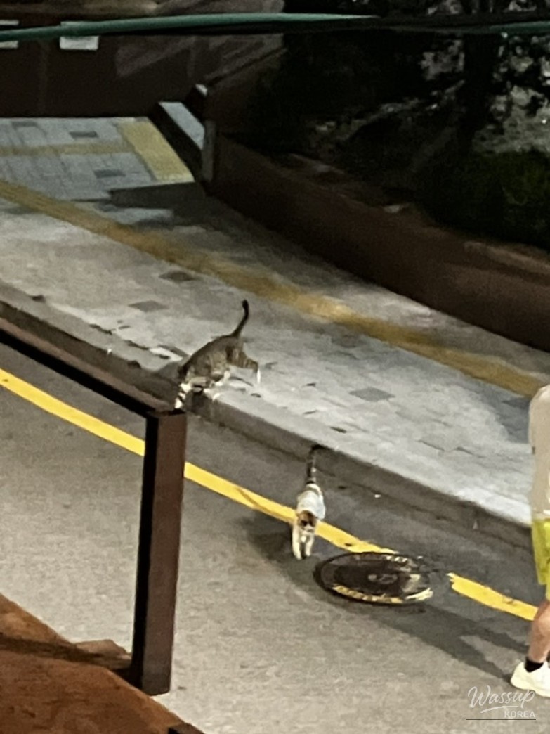 흥미로운 이미지