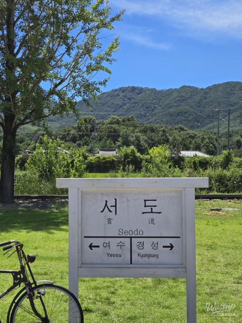 인상 깊은 모습