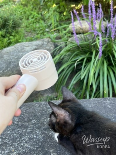 값진 경험