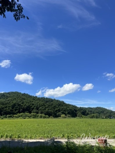 인상 깊은 모습