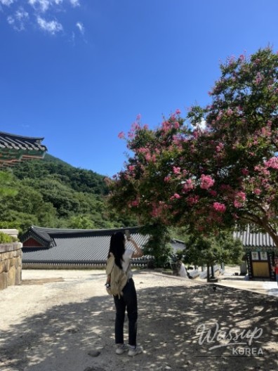특별한 순간