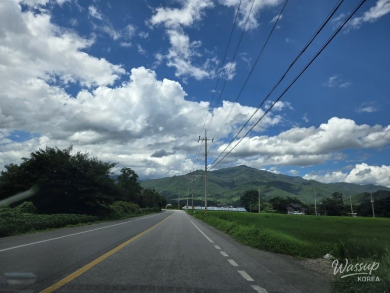 환상적인 장면