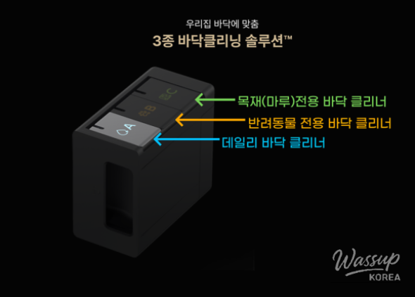 신비로운 모습