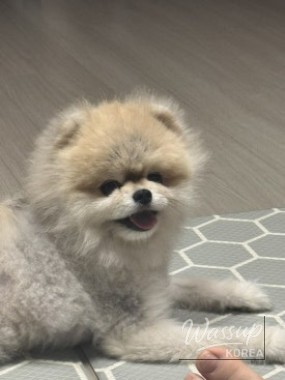 매력적인 사진