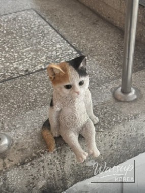 소중한 기억
