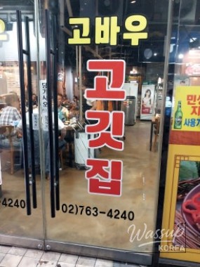신비로운 모습
