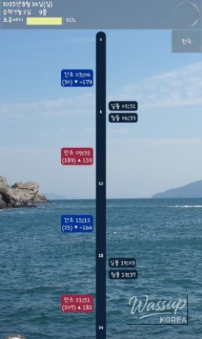 매력적인 사진