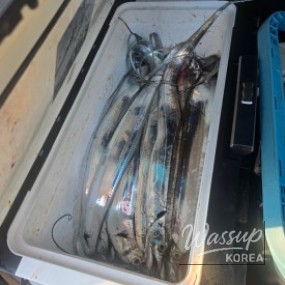 매력적인 사진