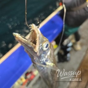 감동적인 장면