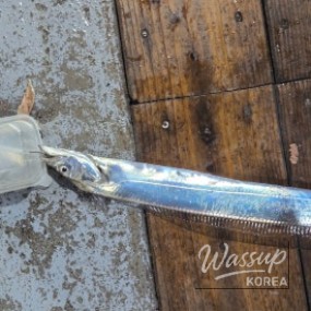 환상적인 장면