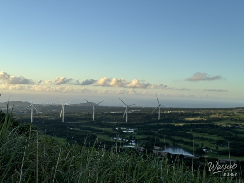 Mysterious Appearance