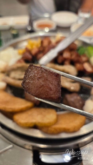 멋진 사진