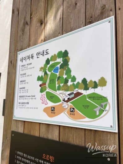 멋진 사진