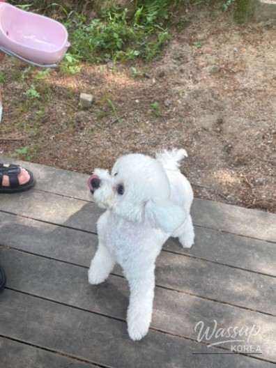 흥미로운 이미지