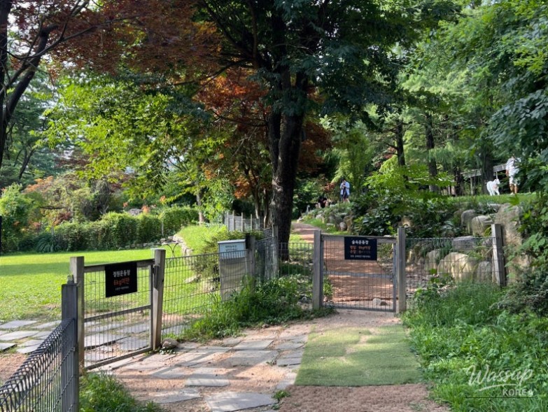 매력적인 사진