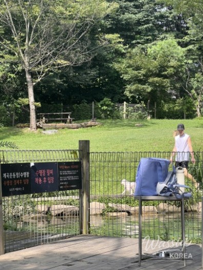 화려한 장면