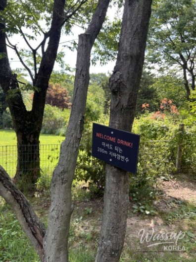소중한 기억