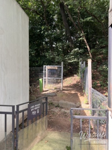 매력적인 사진