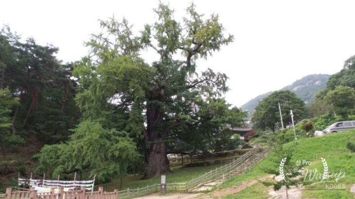 환상적인 장면