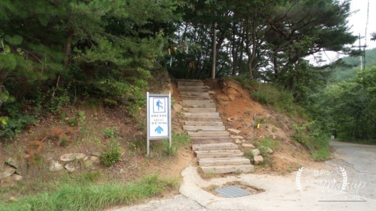 밝은 미래