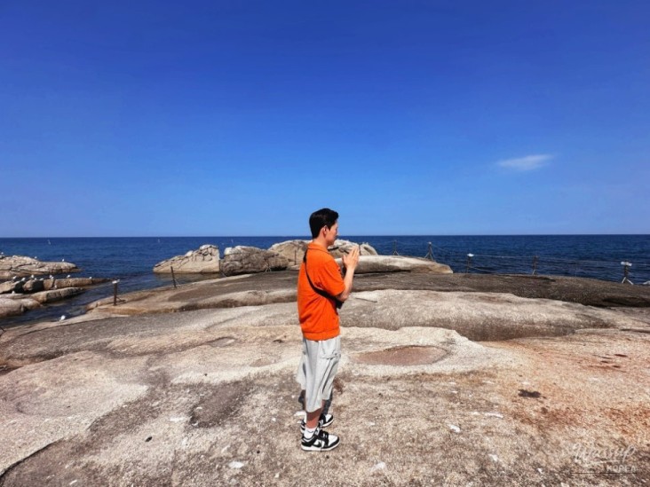 Wonderful Photo