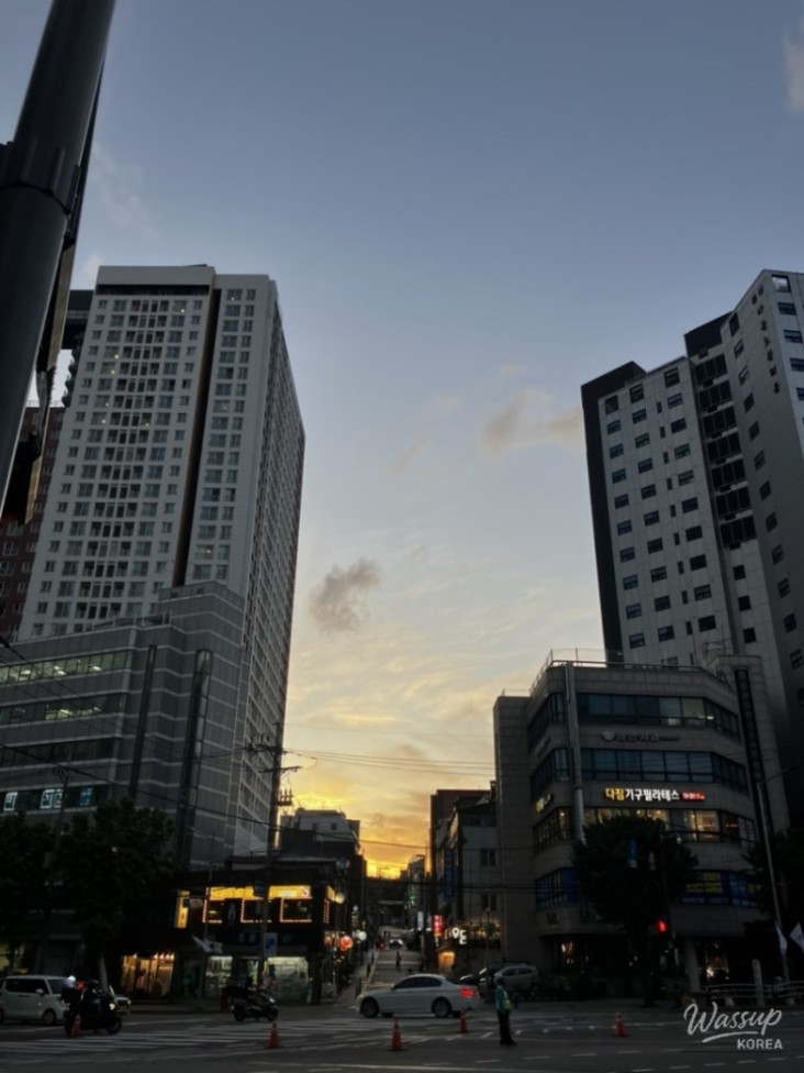 놀라운 광경