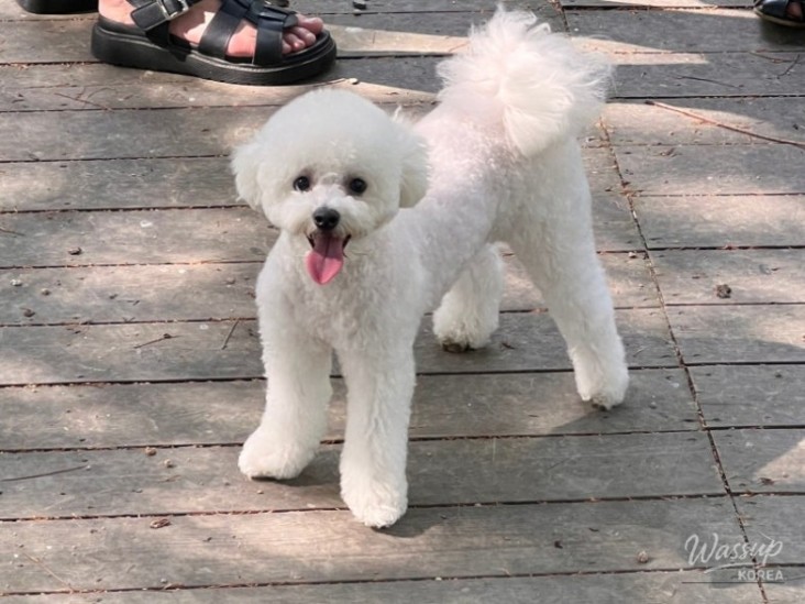 감동적인 장면