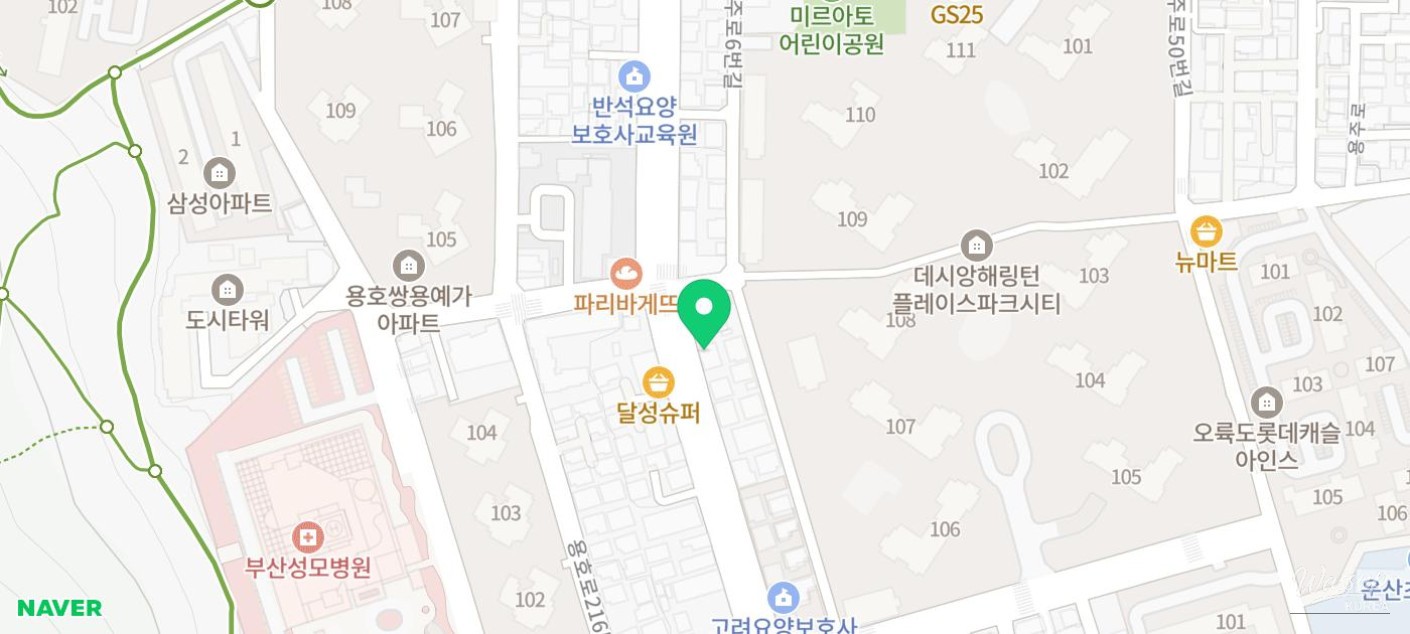 매력적인 사진