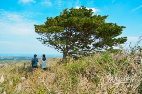 Peaceful Scenery