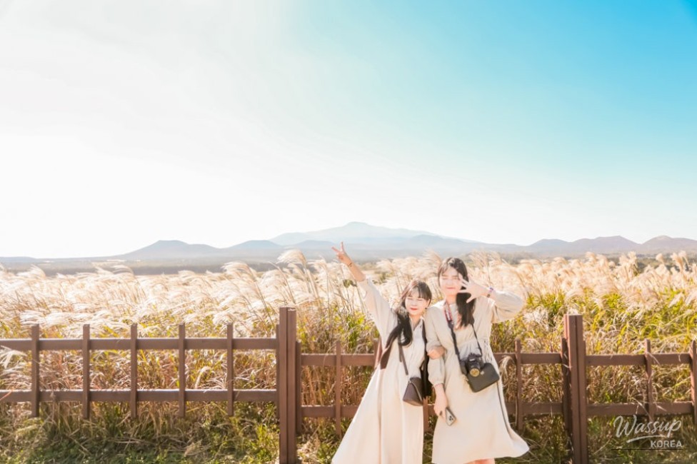 Warm Memory
