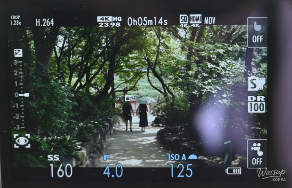 Fujifilm X-E5 photo gallery 07