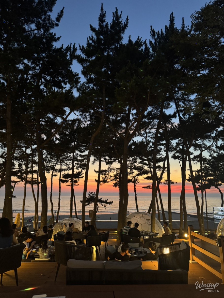 신비로운 모습