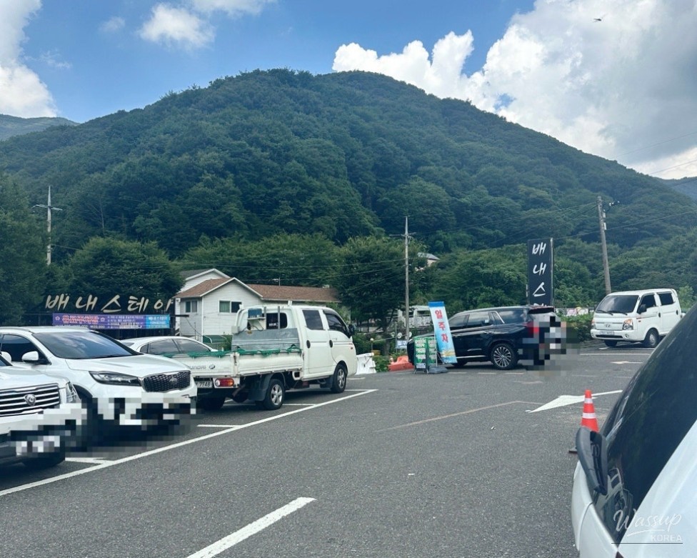 Peaceful Scenery